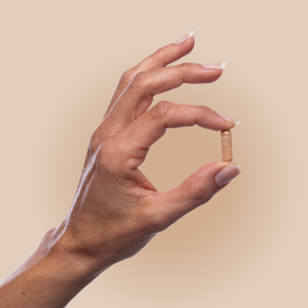 פטריית זנב התרנגול